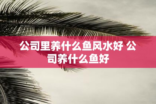公司里养什么鱼风水好 公司养什么鱼好