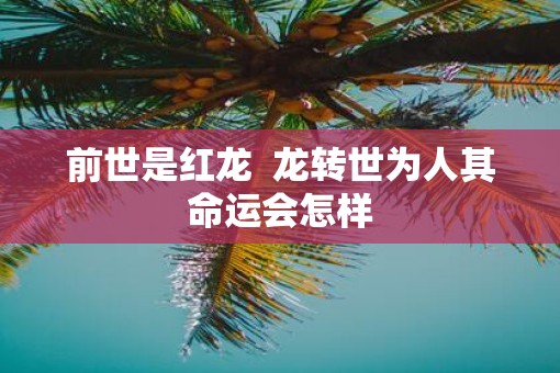 前世是红龙  龙转世为人其命运会怎样