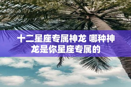 十二星座专属神龙 哪种神龙是你星座专属的