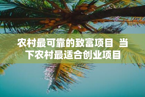 农村最可靠的致富项目  当下农村最适合创业项目