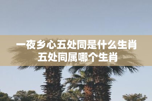 一夜乡心五处同是什么生肖 五处同属哪个生肖