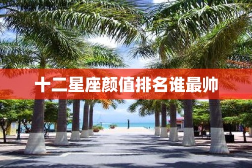 十二星座颜值排名谁最帅