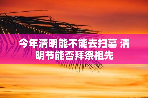 今年清明能不能去扫墓 清明节能否拜祭祖先
