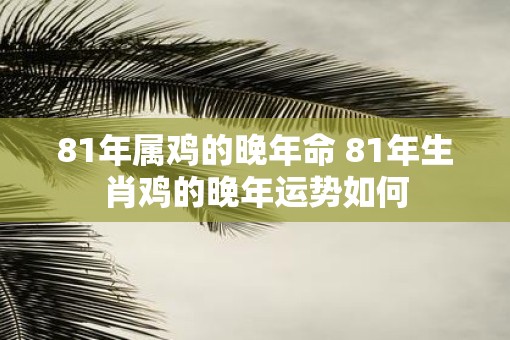 81年属鸡的晚年命 81年生肖鸡的晚年运势如何