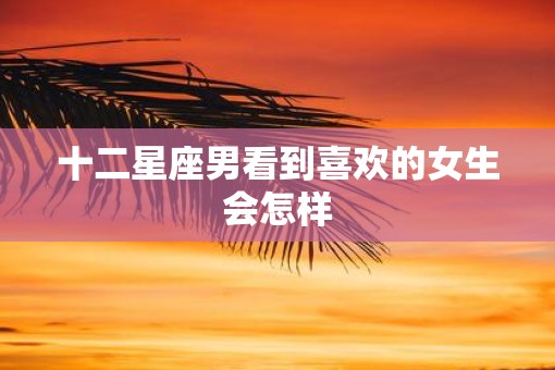 十二星座男看到喜欢的女生会怎样