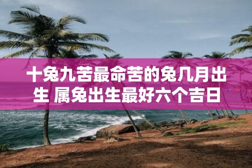 十兔九苦最命苦的兔几月出生 属兔出生最好六个吉日