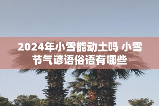 2025年小雪能动土吗 小雪节气谚语俗语有哪些