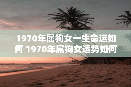 1970年属狗女一生命运如何 1970年属狗女运势如何