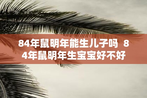 84年鼠明年能生儿子吗  84年鼠明年生宝宝好不好
