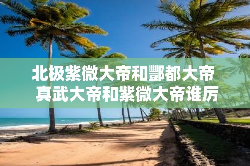 北极紫微大帝和酆都大帝  真武大帝和紫微大帝谁厉害