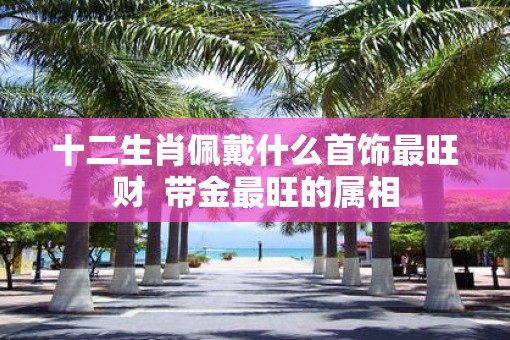 十二生肖佩戴什么首饰最旺财  带金最旺的属相