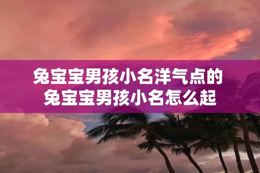 兔宝宝男孩小名洋气点的 兔宝宝男孩小名怎么起