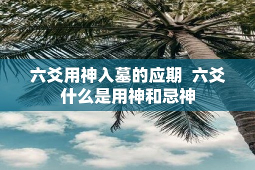 六爻用神入墓的应期  六爻什么是用神和忌神