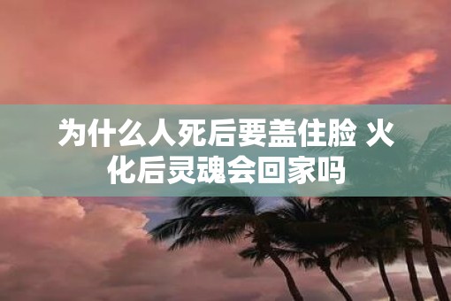 为什么人死后要盖住脸 火化后灵魂会回家吗