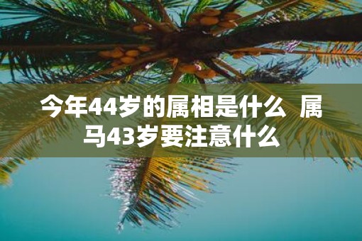 今年44岁的属相是什么  属马43岁要注意什么