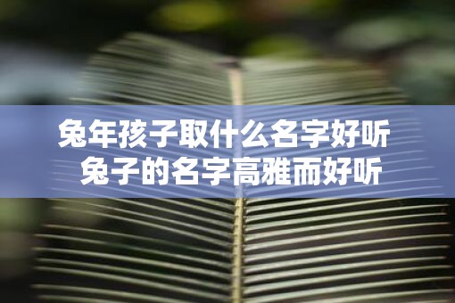 蛇年孩子取什么名字好听  兔子的名字高雅而好听