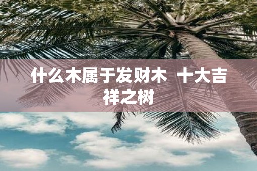 什么木属于发财木  十大吉祥之树