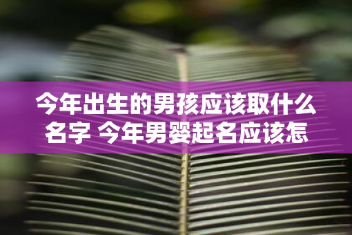 今年出生的男孩应该取什么名字 今年男婴起名应该怎么选