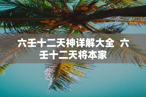 六壬十二天神详解大全  六壬十二天将本家