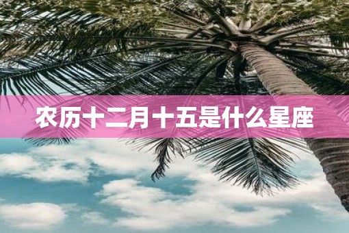 农历十二月十五是什么星座