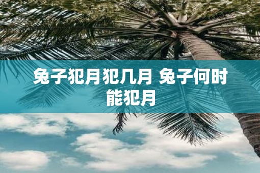 兔子犯月犯几月 兔子何时能犯月