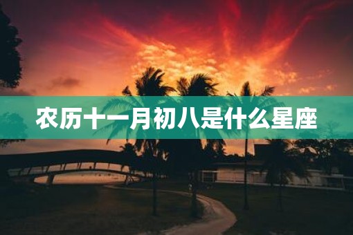 农历十一月初八是什么星座