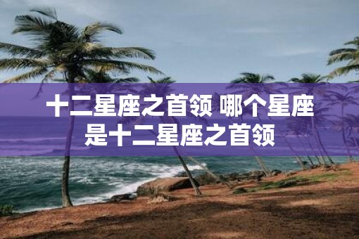 十二星座之首领 哪个星座是十二星座之首领