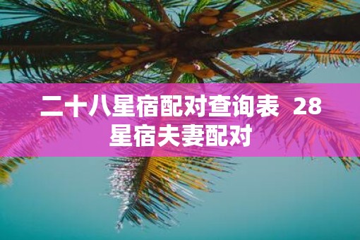 二十八星宿配对查询表  28星宿夫妻配对