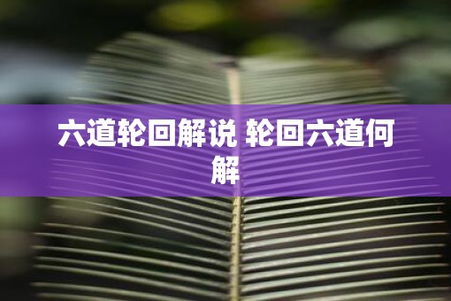 六道轮回解说 轮回六道何解