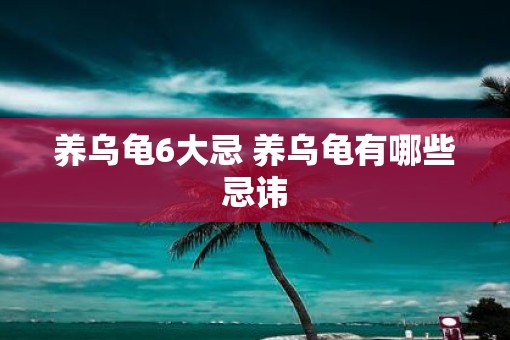 养乌龟6大忌 养乌龟有哪些忌讳