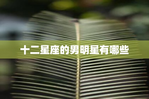 十二星座的男明星有哪些