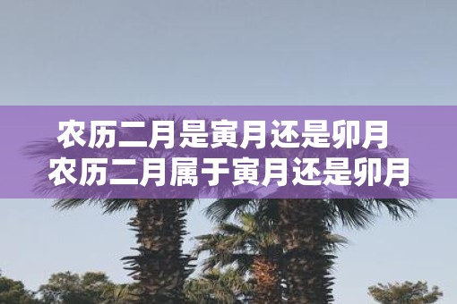 农历二月是寅月还是卯月 农历二月属于寅月还是卯月