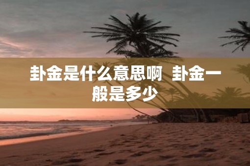 卦金是什么意思啊  卦金一般是多少