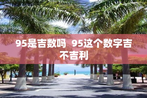 95是吉数吗  95这个数字吉不吉利