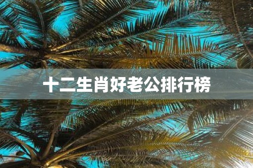 十二生肖好老公排行榜
