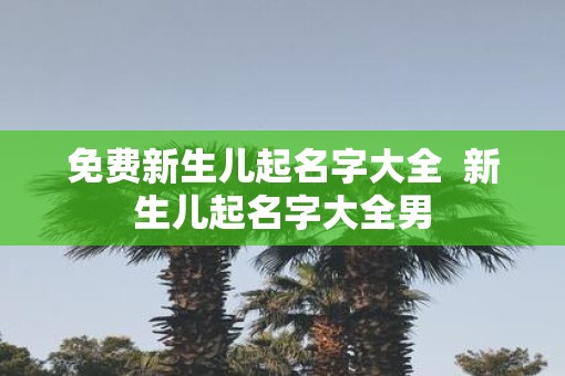 免费新生儿起名字大全  新生儿起名字大全男