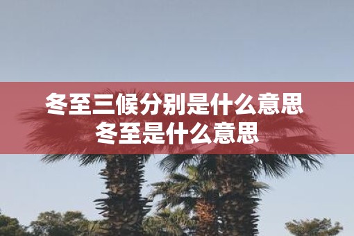 冬至三候分别是什么意思 冬至是什么意思