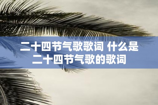 二十四节气歌歌词 什么是二十四节气歌的歌词