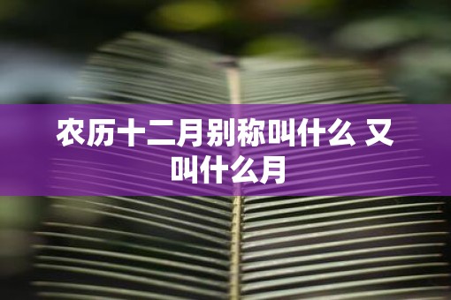 农历十二月别称叫什么 又叫什么月
