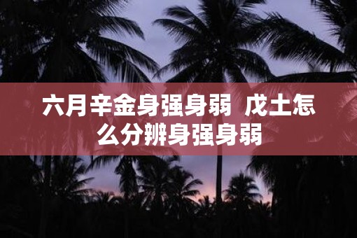 六月辛金身强身弱  戊土怎么分辨身强身弱