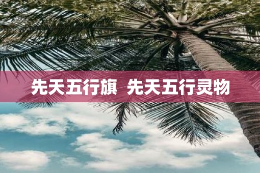 先天五行旗  先天五行灵物