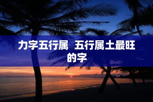 力字五行属  五行属土最旺的字