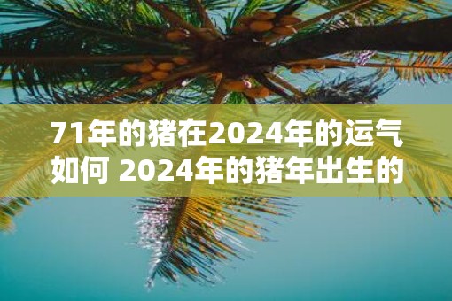 71年的猪在2025年的运气如何 2025年的猪年出生的猪的运势如何