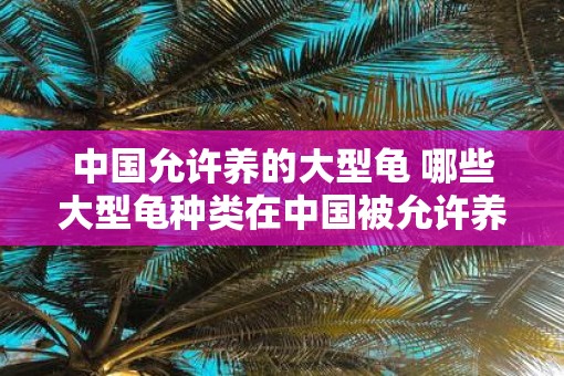 中国允许养的大型龟 哪些大型龟种类在中国被允许养