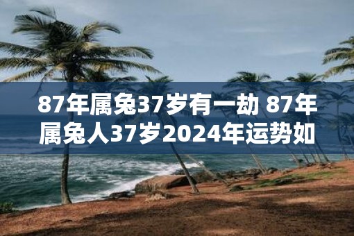 87年属兔37岁有一劫 87年属兔人37岁2025年运势如何