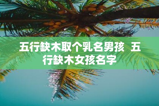 五行缺木取个乳名男孩 五行缺木女孩名字 五行缺木取个乳名男孩 五行缺木女孩名字