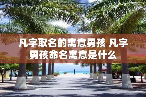 凡字取名的寓意男孩 凡字男孩命名寓意是什么