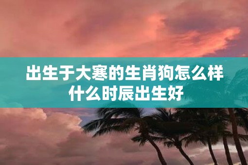 出生于大寒的生肖狗怎么样 什么时辰出生好