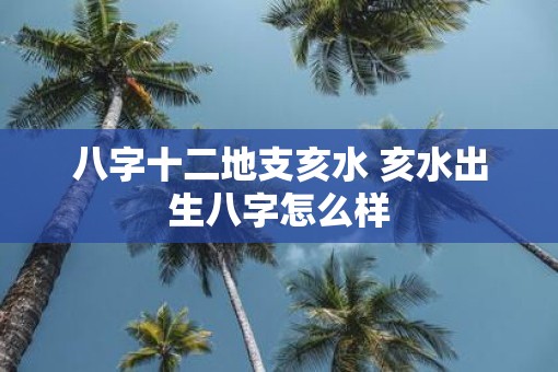 八字十二地支亥水 亥水出生八字怎么样