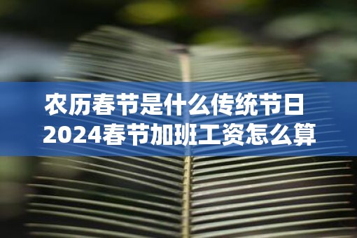 农历春节是什么传统节日 2025春节加班工资怎么算